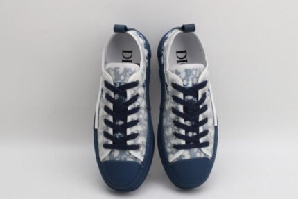 D10R B23 OBLIQUE LOW TOP SNEAKER