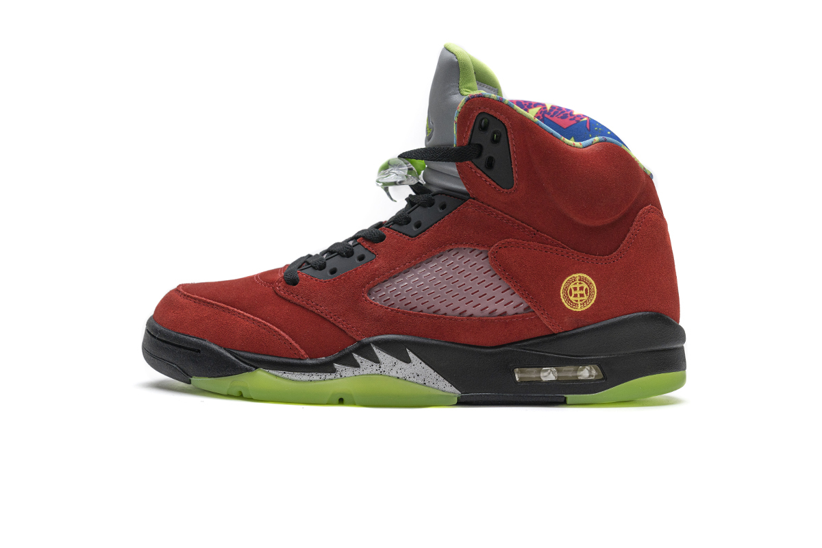 Air Jordan 5 Retro What The