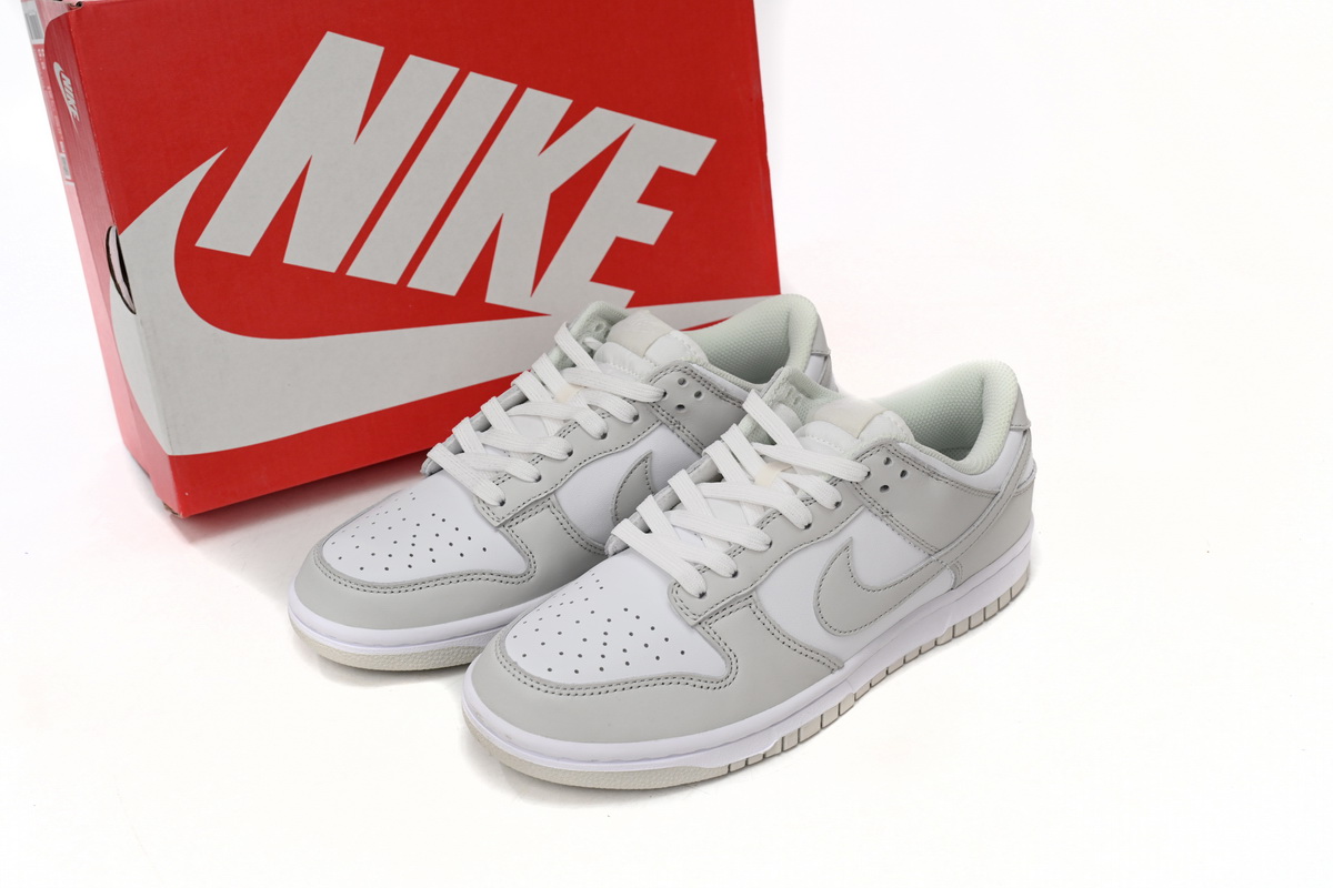 Nike Dunk Low Photon Dust