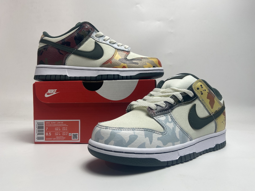 Nike Dunk SB Low Multi Camo