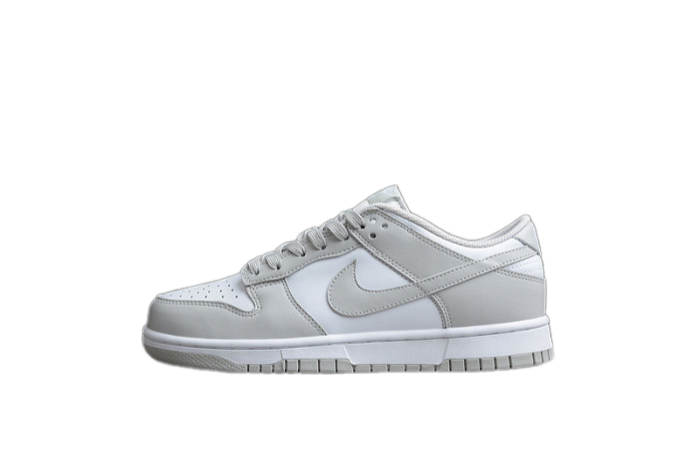 Nike Dunk Low Grey Fog DD1391-103