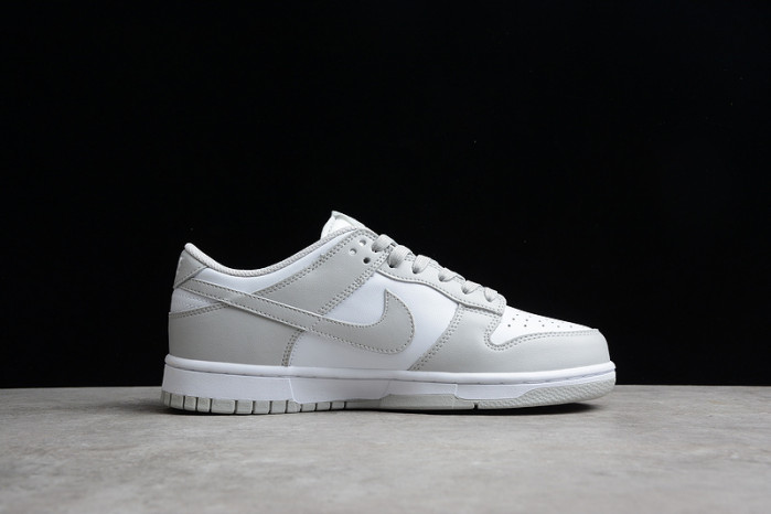 Nike Dunk Low Grey Fog DD1391-103