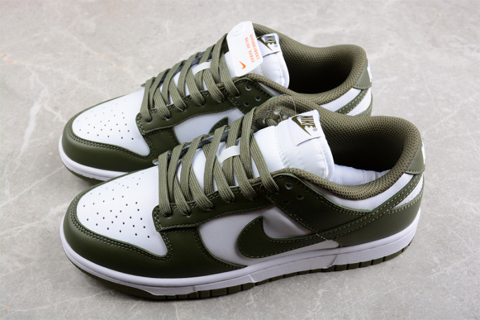 Nike Dunk Low Medium Olive (W) DD1503-120