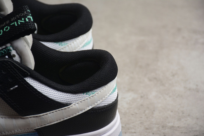 Nike Dunk Low Remastered Unlock Your Space FJ7067-114