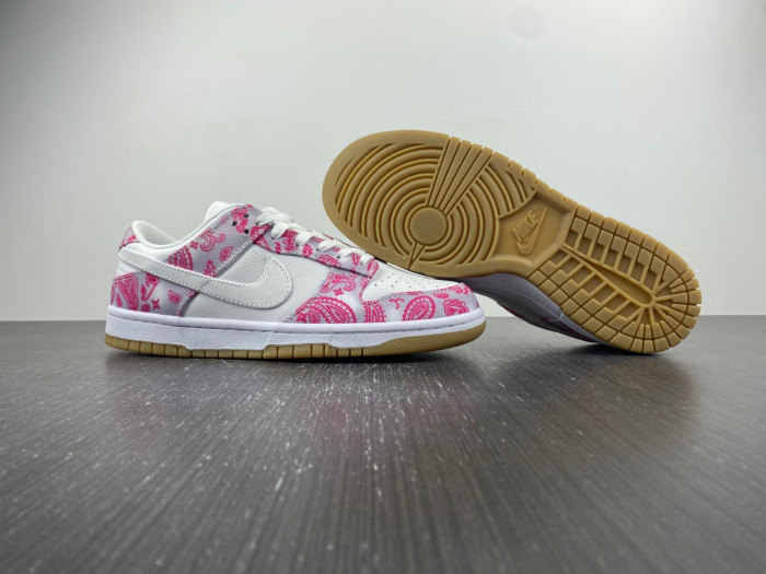 Nike Dunk Low Retro Sp CT5053-061