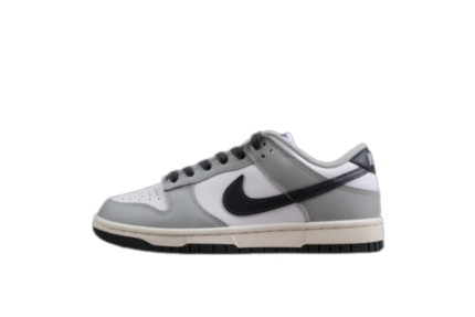 Nike Dunk Low Wmns Light Smoke Grey DD1503-117