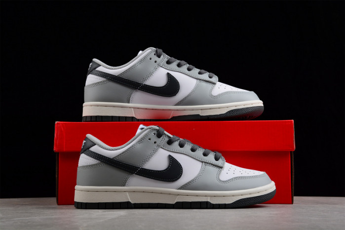 Nike Dunk Low Wmns Light Smoke Grey DD1503-117