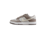 Nike Dunk Low Wmns Moon Fossil FD0792-001