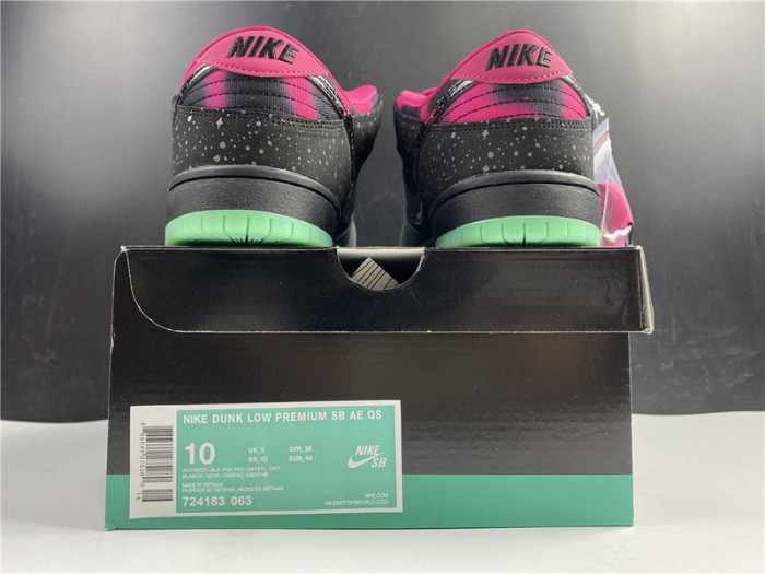 Nike Dunk SB Low Premier “Northern Lights”724183-063