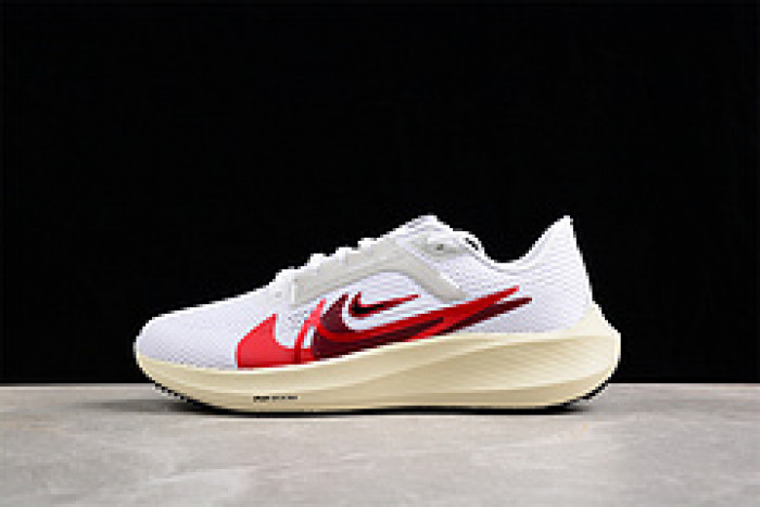 Nike Pegasus 40 Premium FB7703-100