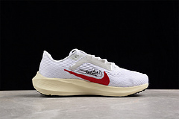 Nike Pegasus 40 Premium FB7703-100