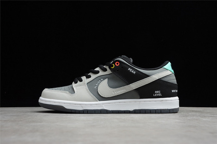 Nike SB Dunk Low Camcorder CV1659-001