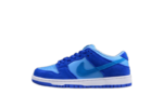 Nike Sb Dunk Low Blue Raspberry DM0807-400