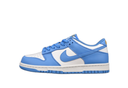 Nike Dunk Low Coast (W) DD1503-100