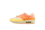 Nk Air Max 1 SPFD6955-800