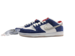 Nike Dunk SB Low Ishod Wair BMW 839685-416